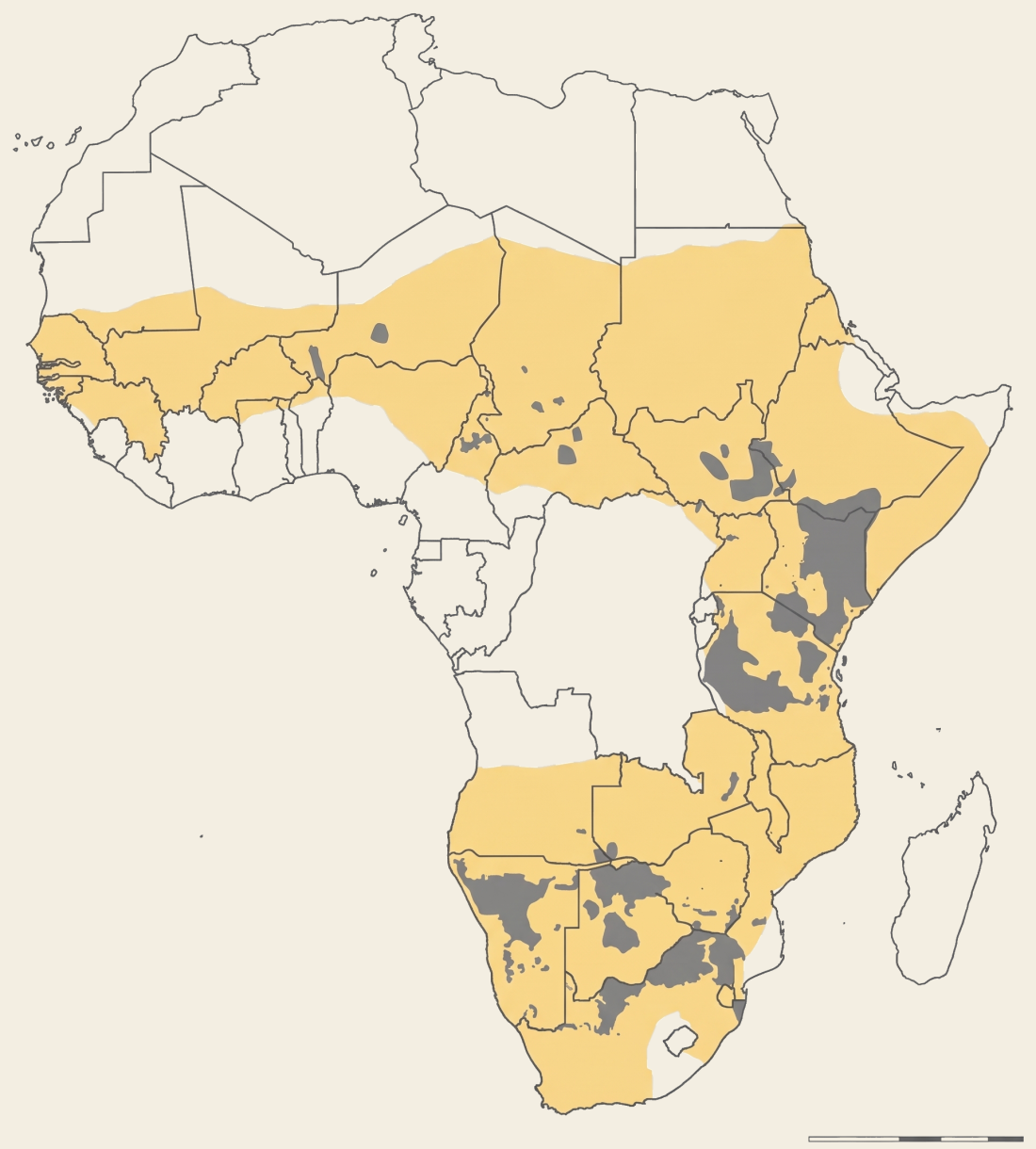 Map of Africa: giraffe historic range in gold and remaining current populations in grey